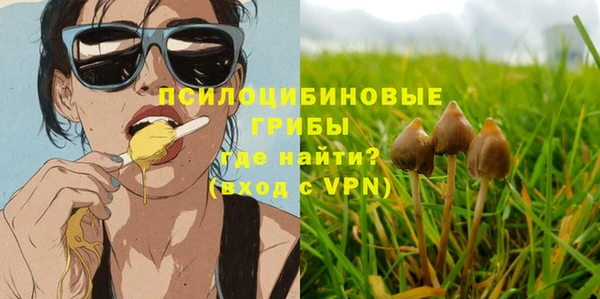 хмурый Бронницы