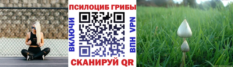 Галлюциногенные грибы Cubensis  Миасс 